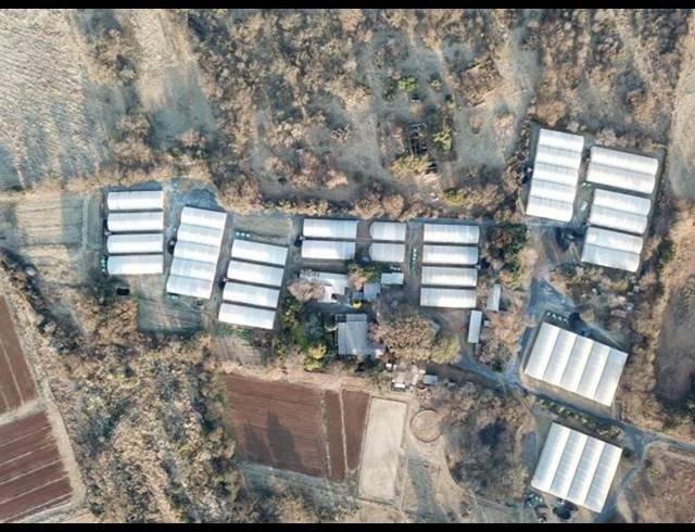 FARM FOR SALE IN BULTFONTEIN AH